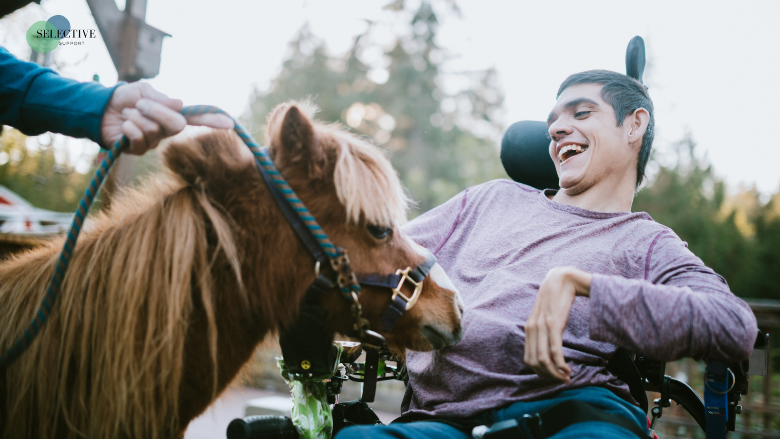 equine assisted learning