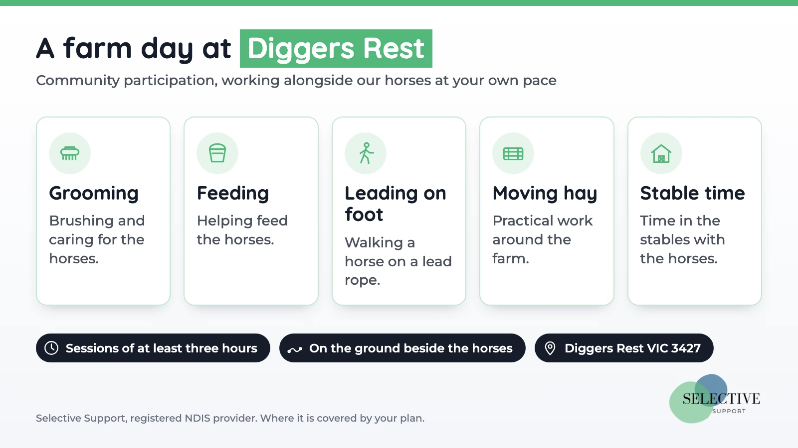 A farm day at Diggers Rest: grooming, feeding, leading a horse on foot, moving hay and stable time, in sessions of at least three hours.