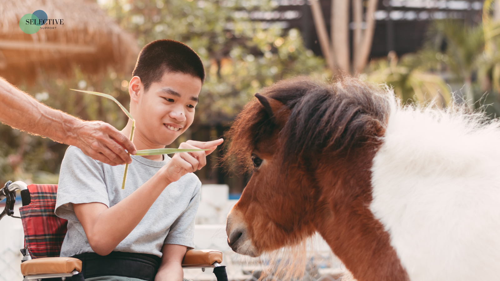 Person doing calm ground-based equine-assisted therapy with a horse at Diggers Rest, Melbourne