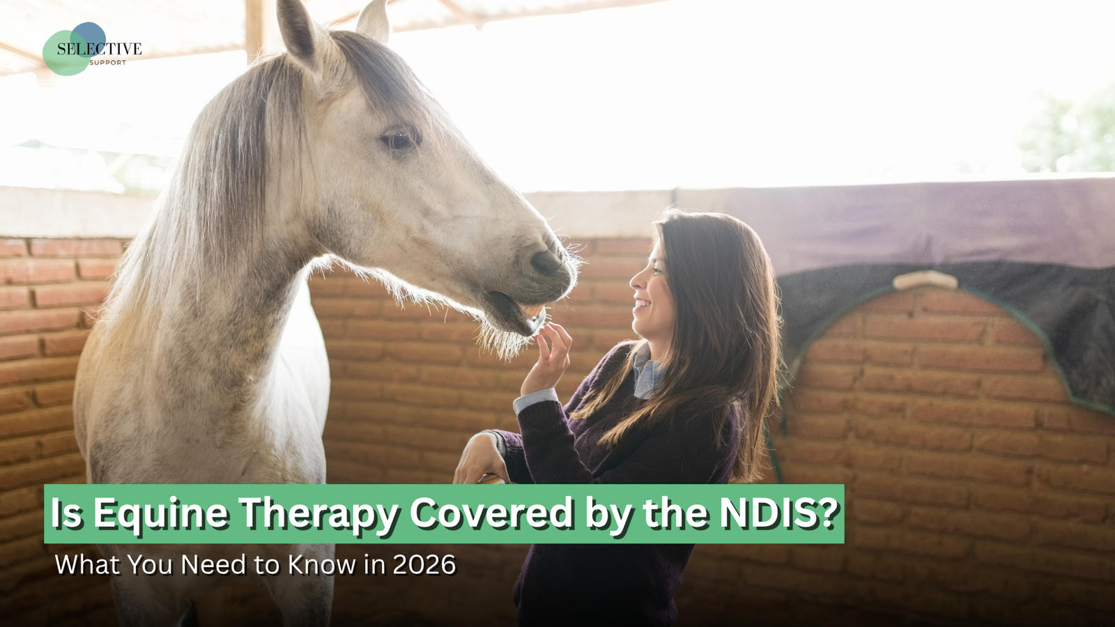 ndis equine therapy